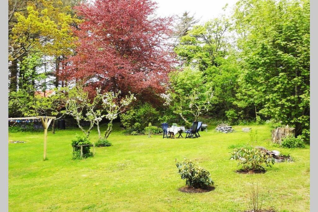 Charming Flat In Cosy Farmhouse Skudeneshavn ภายนอก รูปภาพ